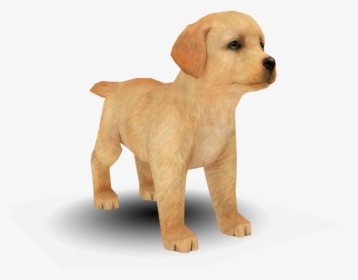 Download Zip Archive - Nintendogs Cats Shiba Inu, HD Png Download, Free Download