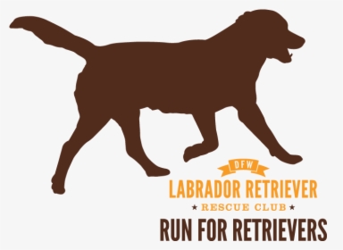 Run For Retrievers Logo - National Day Laborer Organizing Network, HD Png Download, Free Download