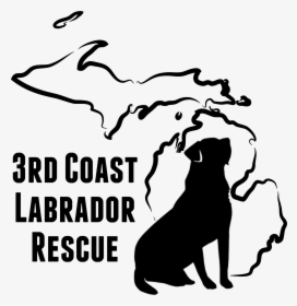 3rd Coast Labrador Rescue - Dental Clinics North, HD Png Download, Free Download