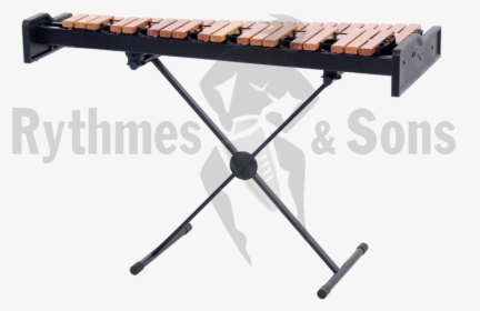 Rythmes & Sons Student Xylophone With Adjustable Stand3 - Tito Puente Brass Timbales, HD Png Download, Free Download