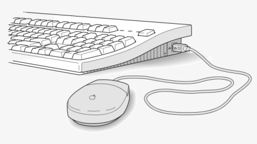 Keyboard Mouse - Mouse, HD Png Download, Free Download