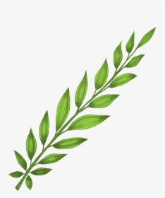 #leaves #bush #plant #branch #stem #floral #freetoedit, HD Png Download, Free Download