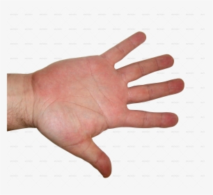 Human Hand Textures - Transparent Male Hand Png, Png Download, Free Download