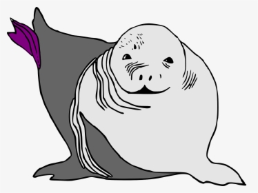 Seal Lion Seals Free Photo - Sea Lion Cartoon, HD Png Download, Free Download
