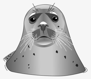Harbor Seal Clip Art, HD Png Download, Free Download