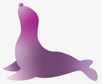 Sea Lion - California Sea Lion, HD Png Download, Free Download