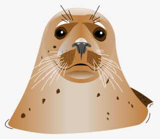 Seal Head Animal Transparent Png, Png Download, Free Download
