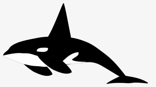 Killer Whale Shamu Clip Art - Orca Whale Black And White, HD Png Download, Free Download