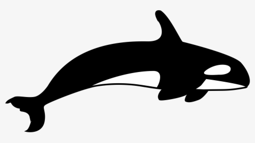 Blue Whale Clipart Tail - Killer Whale Clipart Black And White, HD Png Download, Free Download