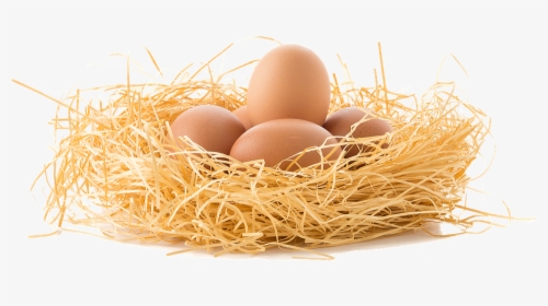 Egg,egg,nest,bird Nest,food,easter Egg - Eggs Nest Png, Transparent Png, Free Download