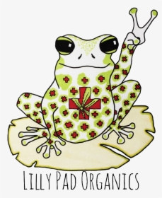Welcome To Lily Pad Organics Inc - Mink Frog, HD Png Download, Free Download