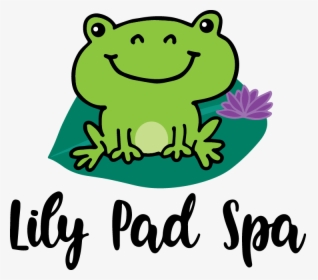 Lily Pad Spa - Cartoon, HD Png Download, Free Download
