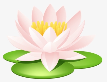 Lily Pond Clip Art Images Download - Clip Art Water Lily, HD Png Download, Free Download