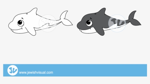 Transparent Killer Whale Png - Shark, Png Download, Free Download