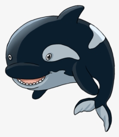 Killer Whale Png, Transparent Png, Free Download