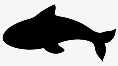 Killer Whale Png Transparent Images - Killer Whale, Png Download, Free Download