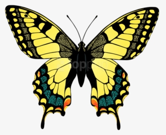 Yellow Butterfly Png - Animal Crossing Tiger Butterfly, Transparent Png, Free Download