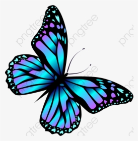 Clip Art Cartoon Blue - Azul Dibujos De Mariposas, HD Png Download, Free Download