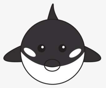 Animaru Killer Whale - Cartoon, HD Png Download, Free Download