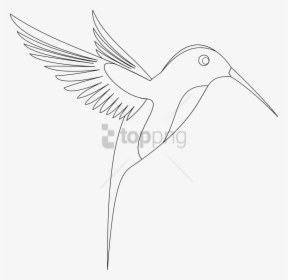 Free Png Download Line Art Of Birds Png Images Background - Hummingbird, Transparent Png, Free Download