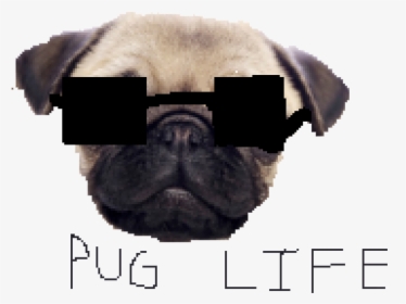 Pug Life Png Clipart - Png Pug Life, Transparent Png, Free Download