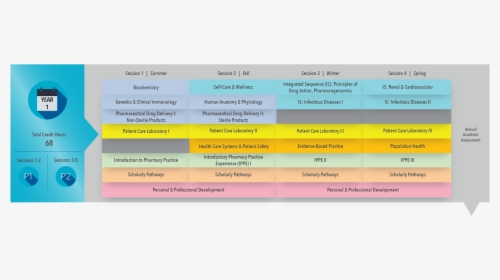 Year One Curriculum Schedule - Mcw Pharmacy School Curriculum, HD Png Download, Free Download