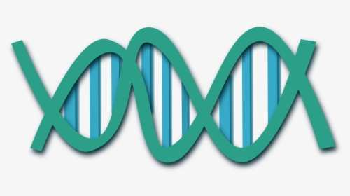 Dna Clip Art, HD Png Download, Free Download