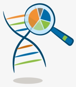 Genetic Test Png, Transparent Png, Free Download