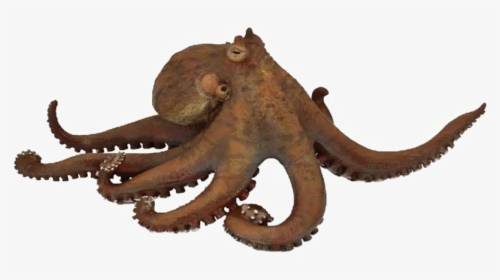 Giant Squid Png Pic - Octopus Papo, Transparent Png, Free Download