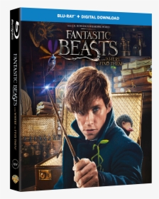 Fantastic Beasts Bd 3d Packshot - Fantastic Beasts 4k Blu Ray, HD Png Download, Free Download