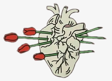Transparent Heartbeat Line Clipart - Heart With Roses Drawing, HD Png Download, Free Download