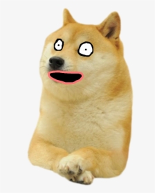 Doge - Happy Birthday Doge Meme, HD Png Download, Free Download