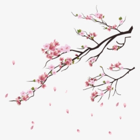 Falling Flowers, Petal Png Image Free Download Searchpng - Cherry Blossom Tree Png, Transparent Png, Free Download