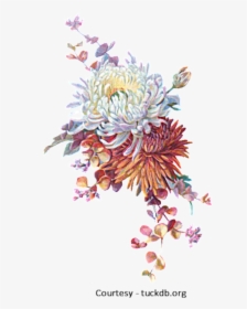Transparent Falling Flowers Png - Fall Flowers Png, Png Download, Free Download