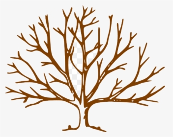 Fall Tree Free Content Website Plant Flower Transparent - Leave Less Tree Drawing, HD Png Download, Free Download