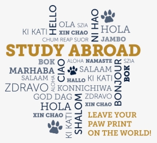 Fiu Study Abroad Logo, HD Png Download, Free Download