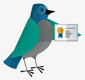 Certified Childcare Teal - Mountain Bluebird, HD Png Download, Free Download