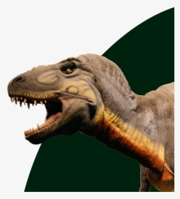 Dinosaur - Lesothosaurus, HD Png Download, Free Download