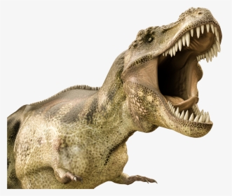 Dinosaur Jaws Transparent, HD Png Download, Free Download