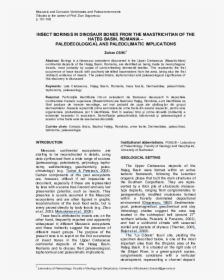 Document, HD Png Download, Free Download
