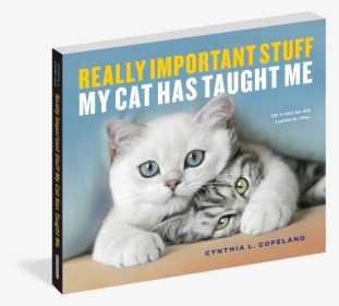 Cover - Really Important Stuff My Cat Has Taught Me, HD Png Download, Free Download