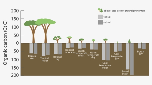 Carbon Stored In Ecosystems, Shown In Gigatons - Ecosystems Transparent Background, HD Png Download, Free Download