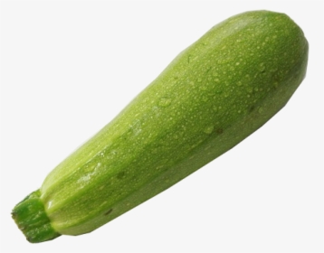 Cucumber Pumpkin Vegetable Melon - Zucchini, HD Png Download, Free Download