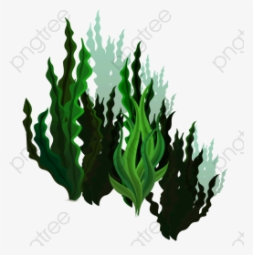Green Kelp Marine Life, Green Vector, Green, Seabed - Plantas Marinas Png, Transparent Png, Free Download