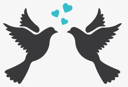 Lovebird Silhouette Drawing Clip Art - Dove Bird Silhouette Png, Transparent Png, Free Download