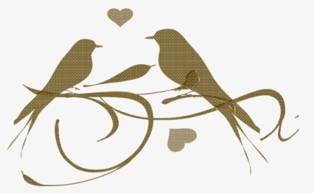 Love Birds Black And White, HD Png Download, Free Download