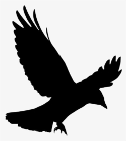 Flying Crow Png, Transparent Flying Crow Image - Crow Png, Png Download, Free Download