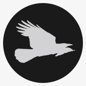 Flying Crow Press - Logo Twitter Blanco Png, Transparent Png, Free Download