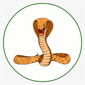 Realistic Snake Clip Art, HD Png Download, Free Download