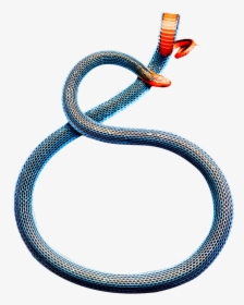 Snake, HD Png Download, Free Download